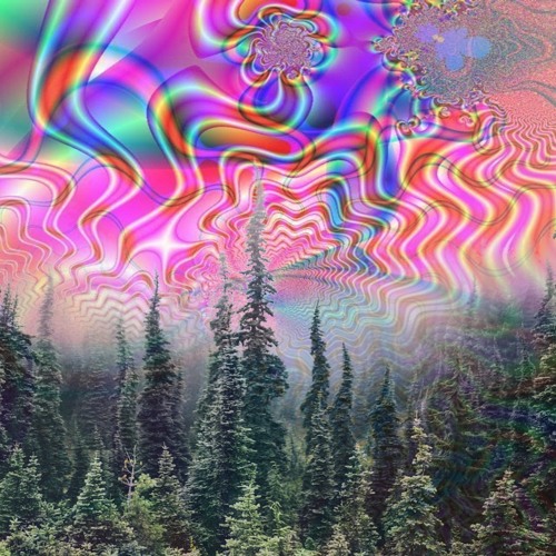Forest Frequencies V.1