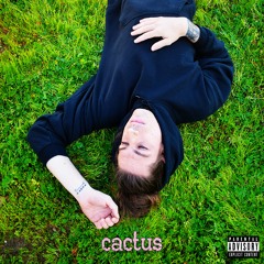 cactus ( salah )