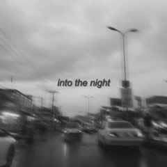 Into The Night