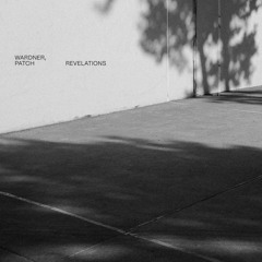 PREMIERE: Wardner, Patch - Revelations [Feedasoul Records]