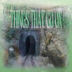 THINGS THAT GO ON (PROD. qr!)