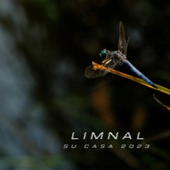 Shambhala 2023 - Home In A Far Away Place