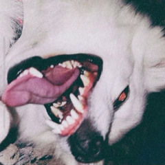 Weak (prod. pyctur)