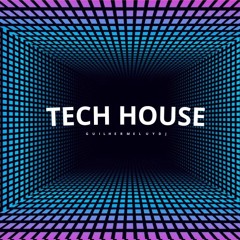 Tech House Mix 2024 @ I Like it at The Moment - Dj Set Guilherme Luy