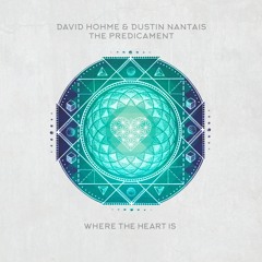 WTHI025 - David Hohme & Dustin Nantais - The Predicament (Soulfeed Remix)