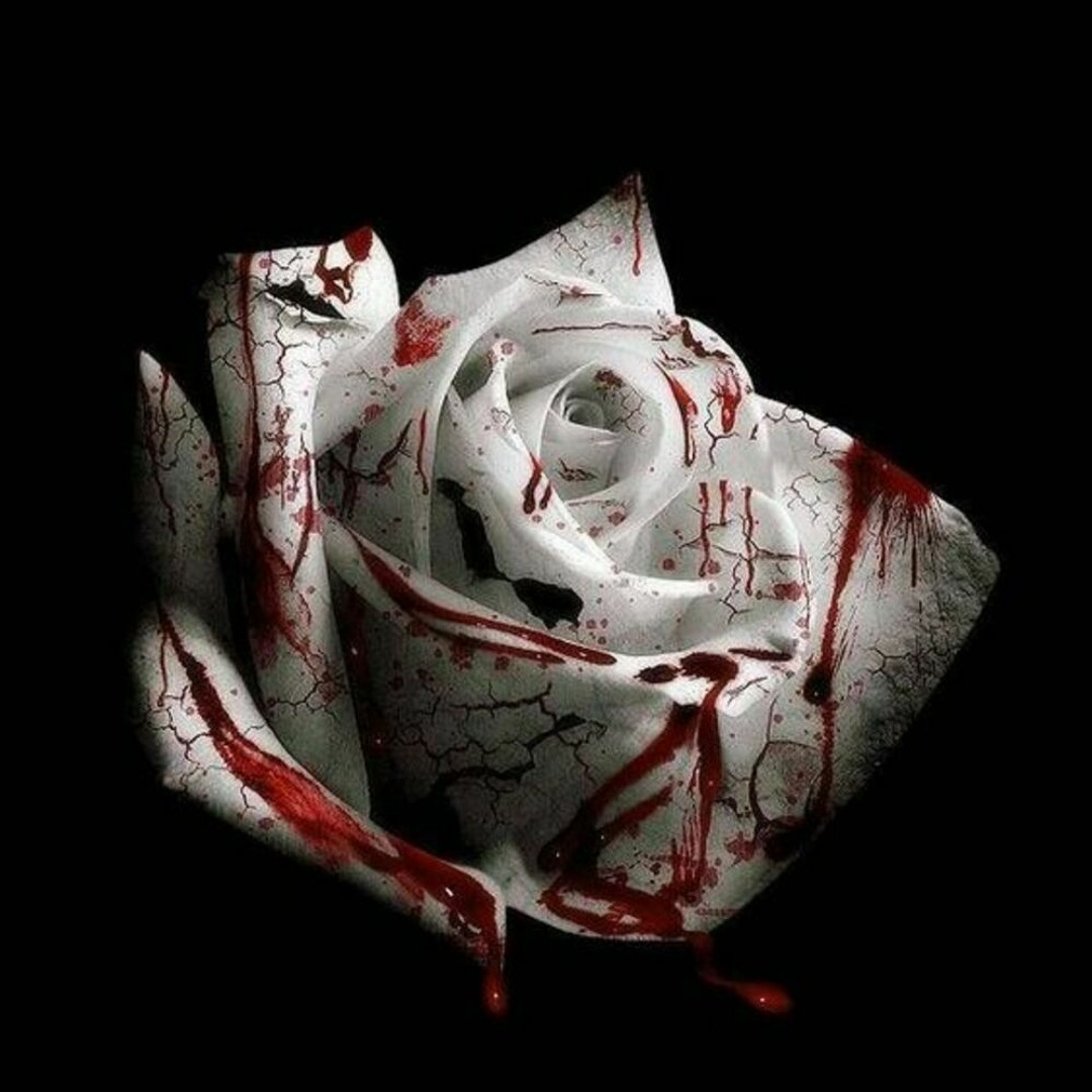 洋楽 Homicide CDS Listen to Romantic Homicide by d4vd (@d4vddd) in Sad girl