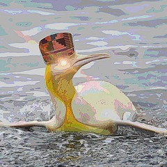 New Penguin ft TYGKO