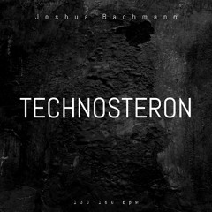 TECHNOSTERON VOL. 4 (Techno-Set/Techno-Bootlegs 2025)