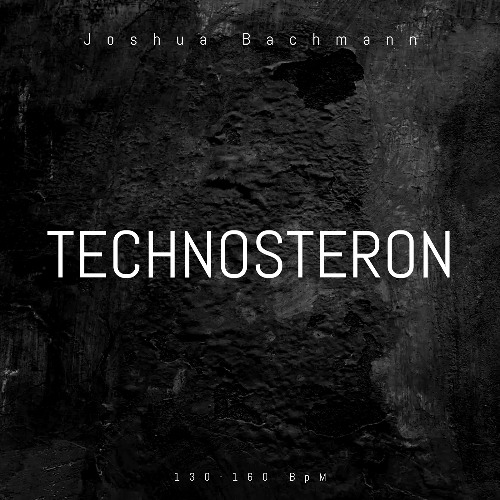 TECHNOSTERON VOL. 4 (Techno-Set/Techno-Bootlegs 2025)