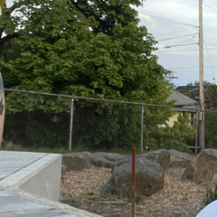 bright eyes // make war