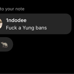 NDO dee - 2 bags ( yung bans diss ) prod le.vieux