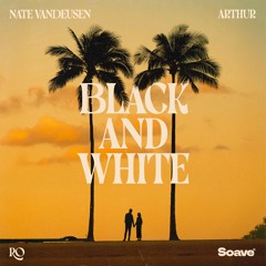Nate VanDeusen & Arthur - Black and White (feat. Ro)