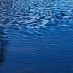 Like water (Alternate Version)