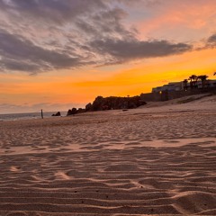 Sunset Seshies