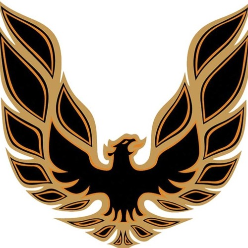 YOU ARE WHAT YOU WISH