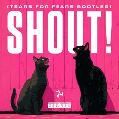 Tears For Fears - Shout! (Andy Tudor Bootleg)