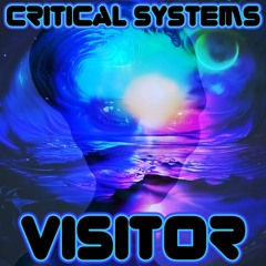 Critical Systems - Visitor