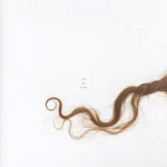 Did (feat. Cosmo Sheldrake)