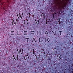 What Moves (Elephant Talk Remix) - La Priest