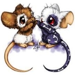 meiloo - watchout! + prod meiloooo