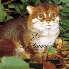 50