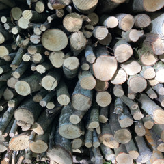 Rents Differ (demo-itis)