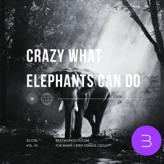 FITNESS MIX #1 - CRAZY WHAT ELEPHANTS CAN DO - 32CTS MIX FOR SHAPE / AEROBIC / STEP AND MORE