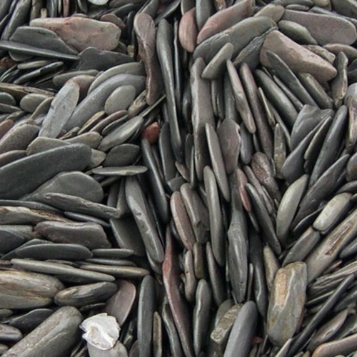 Forest Fire (Lloyd Cole Song) - Condenser 1 track record