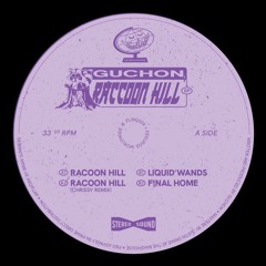 PREMIERE: Guchon - Raccoon Hill (Chrissy Remix) [Feelings Worldwide]