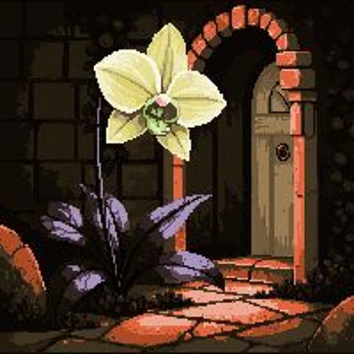 cryptorchid