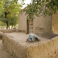 فهو على نور من ربه | عمر سيلدينسكي