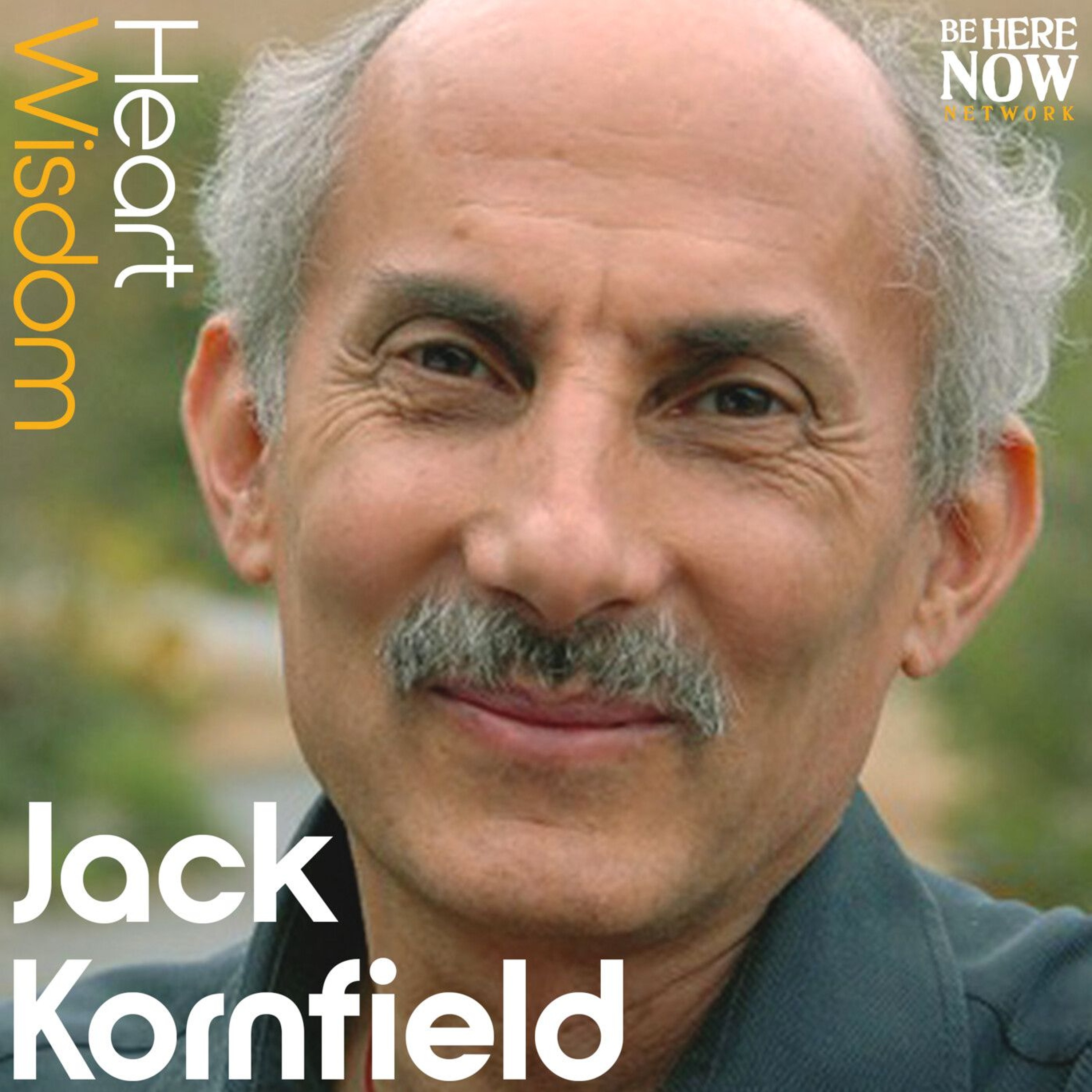 Jack Kornfield – Heart Wisdom – Ep. 238 – Freeing Yourself From Fear And Opinion episode artwork
