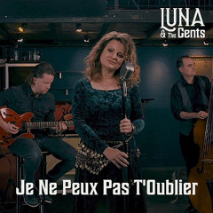Je Ne Peux Pas T'Oublier (Radio Edit)