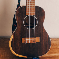 Running with the wolves cover