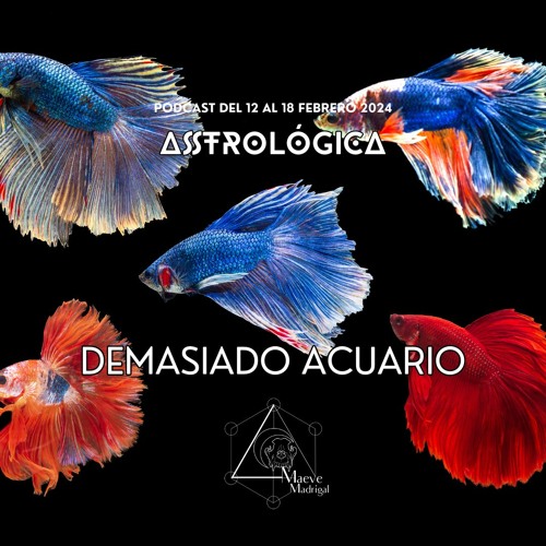 ASTROLÓGICA · DEMASIADO ACUARIO· Newsletter 12 al 18 de Febrero 2024