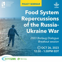Food System Repercussions of the Russia-Ukraine War