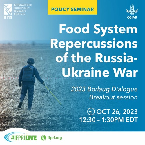 Food System Repercussions of the Russia-Ukraine War