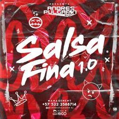 Salsa Fina 1.0 - Andres Pulgarín