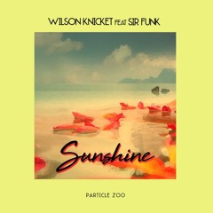 Wilson Knickit - Fall For You