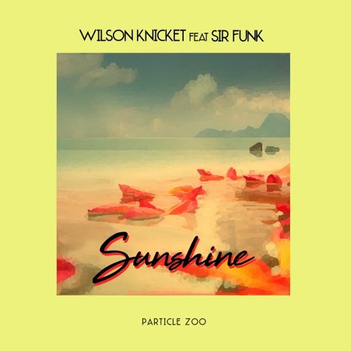 Wilson Knickit - Fall For You
