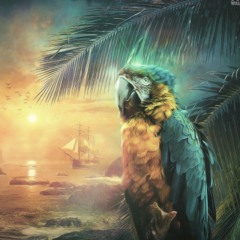 Moombahton Mix