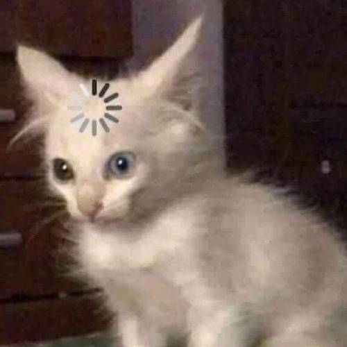 MIXSET VINALAK - VAVH - 2025