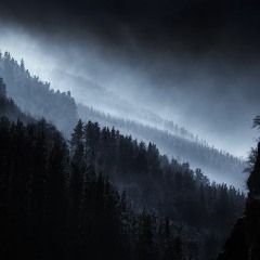 Pryda - Shadows (Øfdream Version)