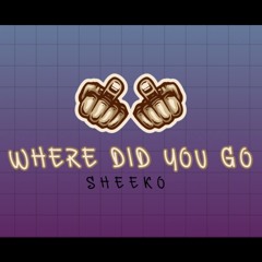 Sheeko - Where Did You Go