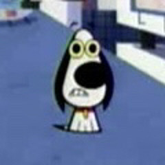 the worries of a townsville pup