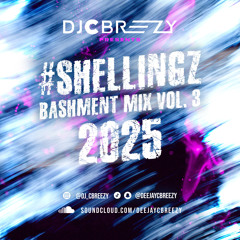 Bashment Mixes