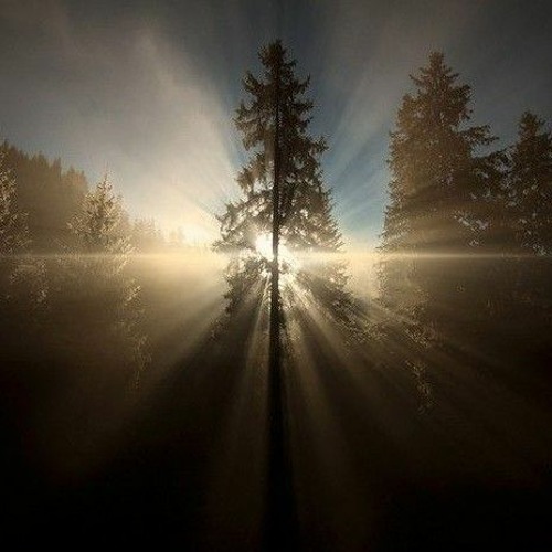 The End Of A New Beginning "Sunkissed"