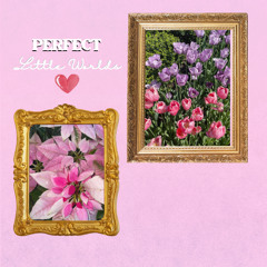 Perfect Little Worlds (prod. C Medina)