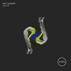 Matt Sassari - No Fear