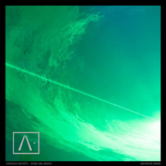 PREMIERE | Dhant - Echinopsis